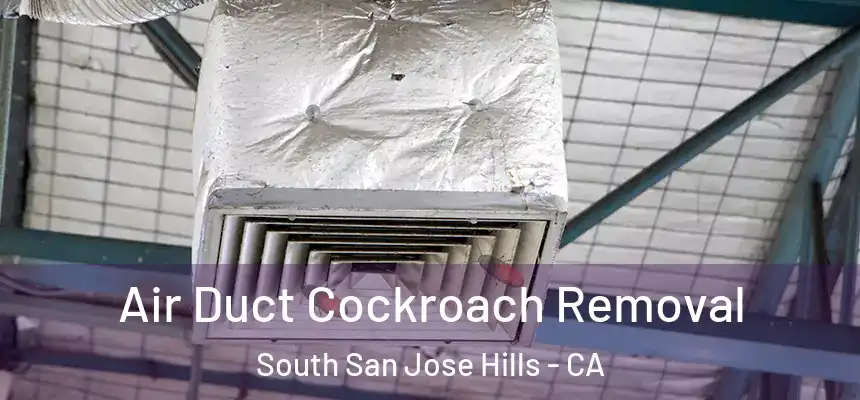 Air Duct Cockroach Removal South San Jose Hills - CA