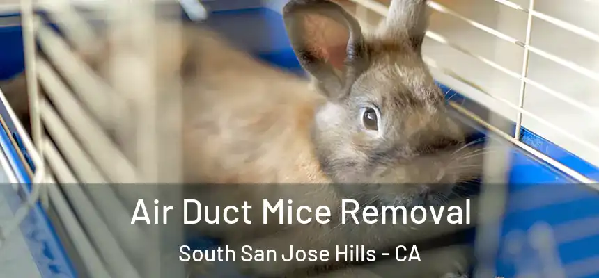Air Duct Mice Removal South San Jose Hills - CA