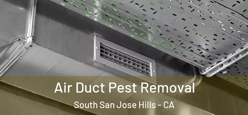 Air Duct Pest Removal South San Jose Hills - CA