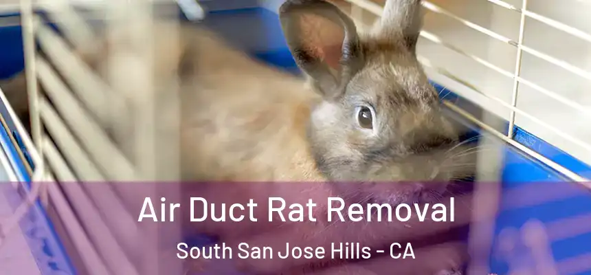 Air Duct Rat Removal South San Jose Hills - CA