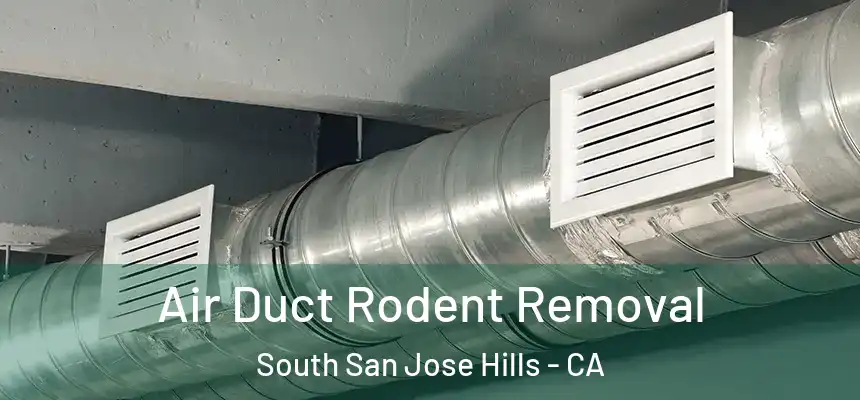 Air Duct Rodent Removal South San Jose Hills - CA