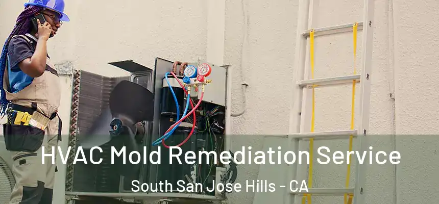 HVAC Mold Remediation Service South San Jose Hills - CA