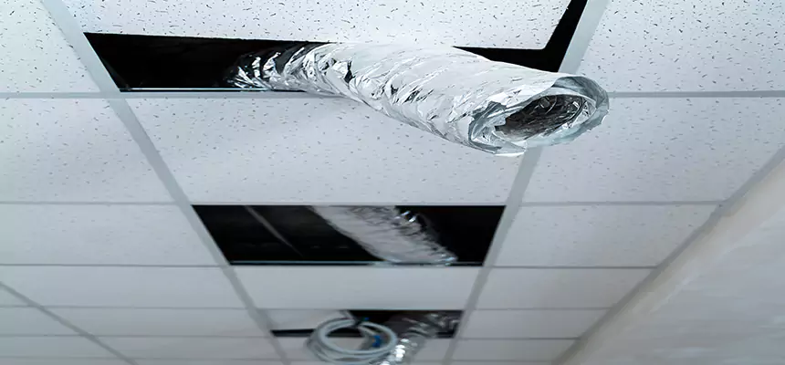 Affordable HVAC Sanitizing After Pest Removal in South San Jose Hills