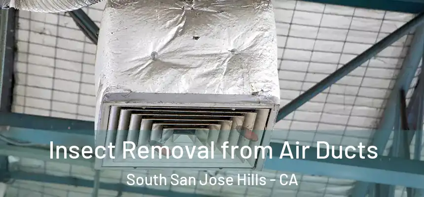 Insect Removal from Air Ducts South San Jose Hills - CA