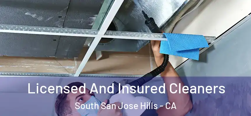 Licensed And Insured Cleaners South San Jose Hills - CA