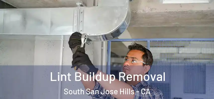 Lint Buildup Removal South San Jose Hills - CA