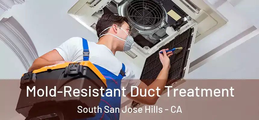 Mold-Resistant Duct Treatment South San Jose Hills - CA