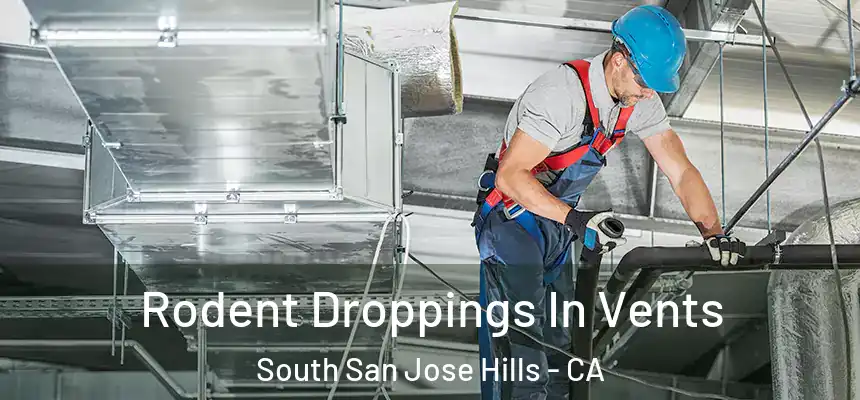 Rodent Droppings In Vents South San Jose Hills - CA