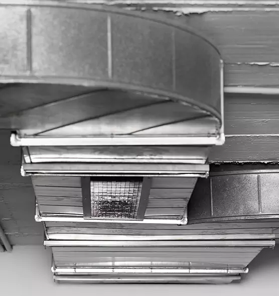 Professional Air Duct Pest Removal in South San Jose Hills, CA