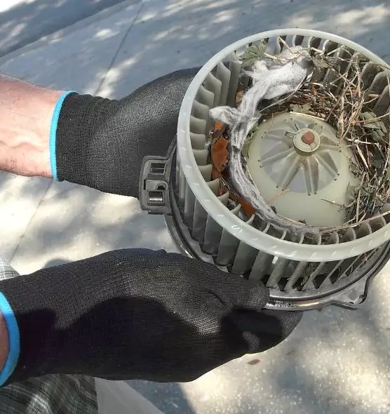 About Air Duct Rat Removal in South San Jose Hills, CA