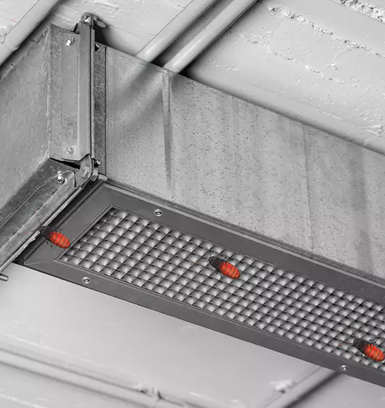 Affordable Insect Removal from Air Ducts in South San Jose Hills, CA