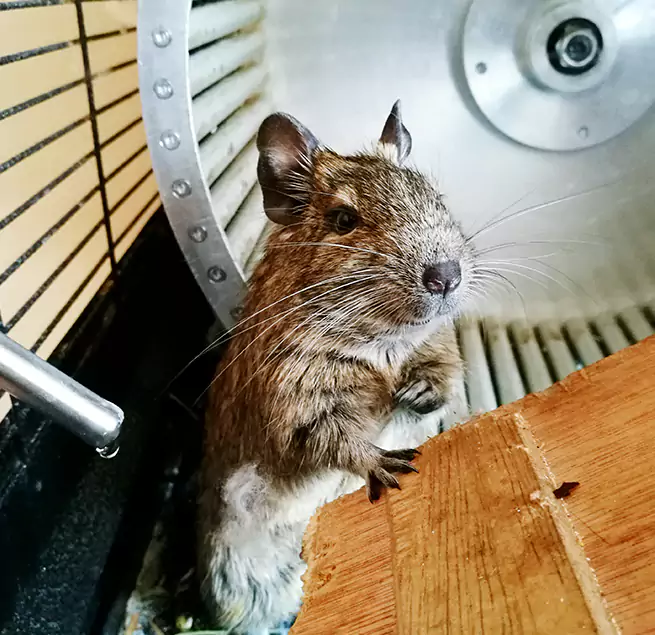 Why Homeowners & Businesses Trust Us South San Jose Hills, CA