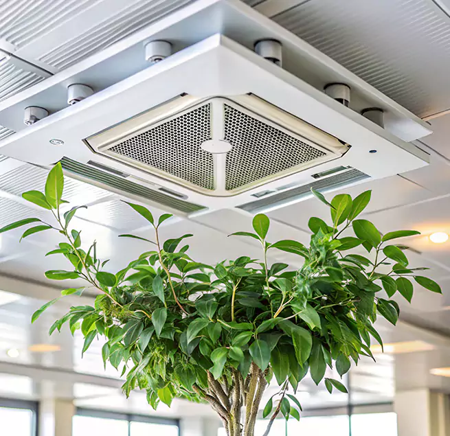 Why Homeowners & Businesses Trust Us in South San Jose Hills, CA?