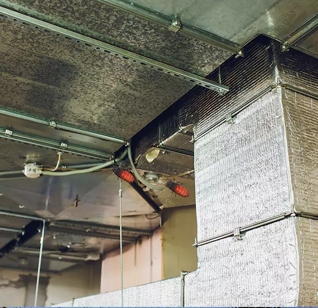 Why Homeowners & Businesses Trust Us South San Jose Hills, CA?