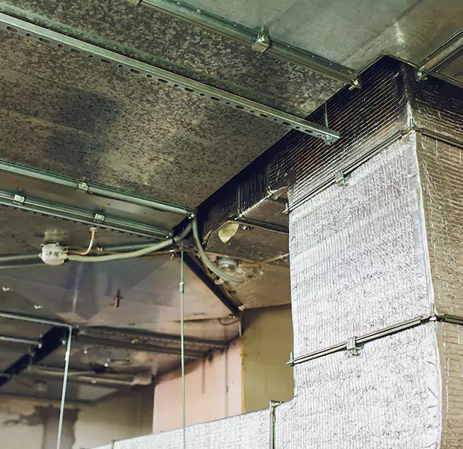 Why Homeowners & Businesses Trust Us in South San Jose Hills, CA?